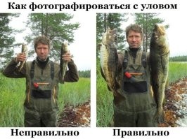 Учитель Сплинтер существует