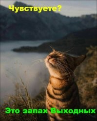 На позитиве