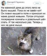 Йожика картинки. Выпуск 232