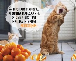 Не ищите здесь смысл. Здесь в основном маразм