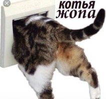 Йожика картинки. Выпуск 232