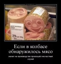 Йожика картинки. Выпуск 232