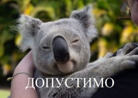Пользуйтесь