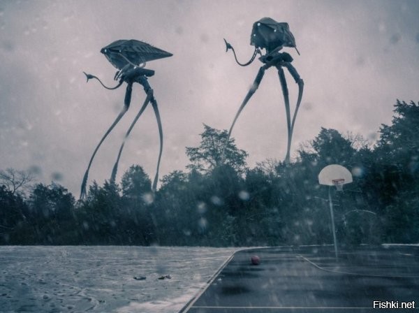 Солянка от 03.11.2022