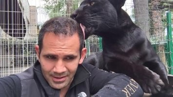 Йожика картинки. Выпуск 232