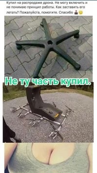 Смешные и познавательные картинки