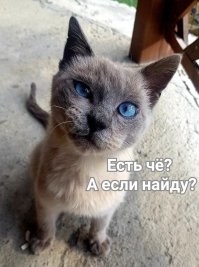 На общую тему