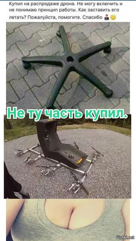 Смешные и познавательные картинки