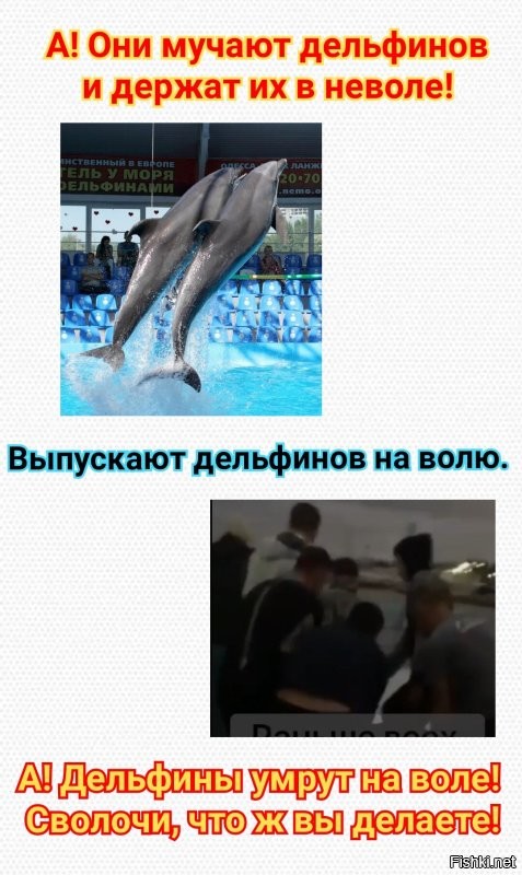 "Сегодня я выпустил полмиллиона долларов": в Севастопольском дельфинарии решили выбросить дрессированных дельфинов в море