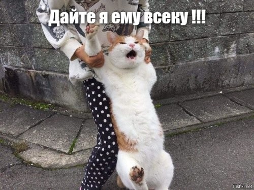 альпинисты, наверное