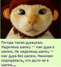 Йожика картинки. Выпуск 232