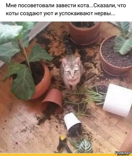 Солянка от 04.11.2022