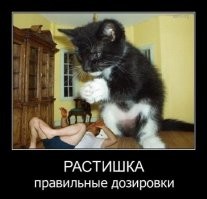 Фотоподборка