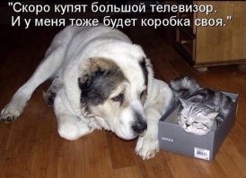 В каком веке он живет? Телевизоры сегодня плоские и коробки тоже такие...