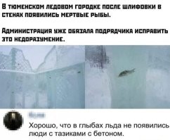 Эти рыбы вполне могут оттаять и ожить!