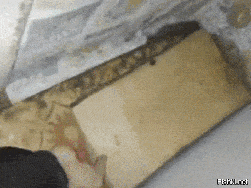 Солянка от 04.11.2022