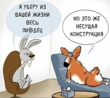 Йожика картинки. Выпуск 233