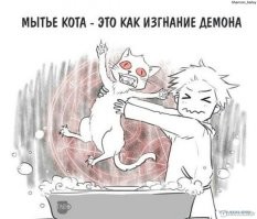 Йожика картинки. Выпуск 233