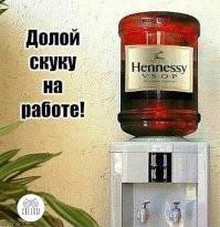 Йожика картинки. Выпуск 233