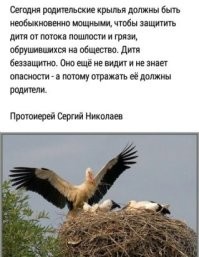 Йожика картинки. Выпуск 233