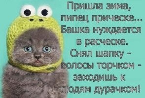 Йожика картинки. Выпуск 233