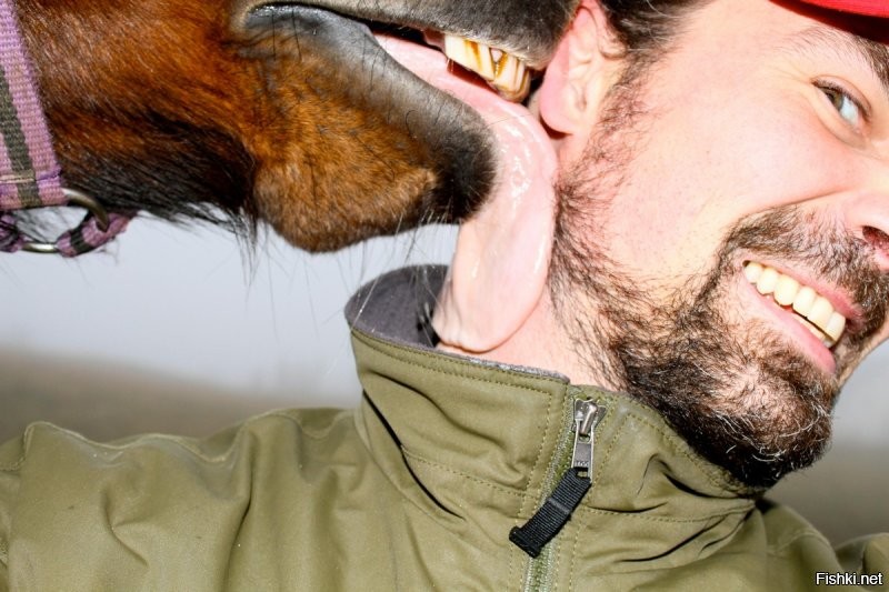 Солянка от 05.11.2022