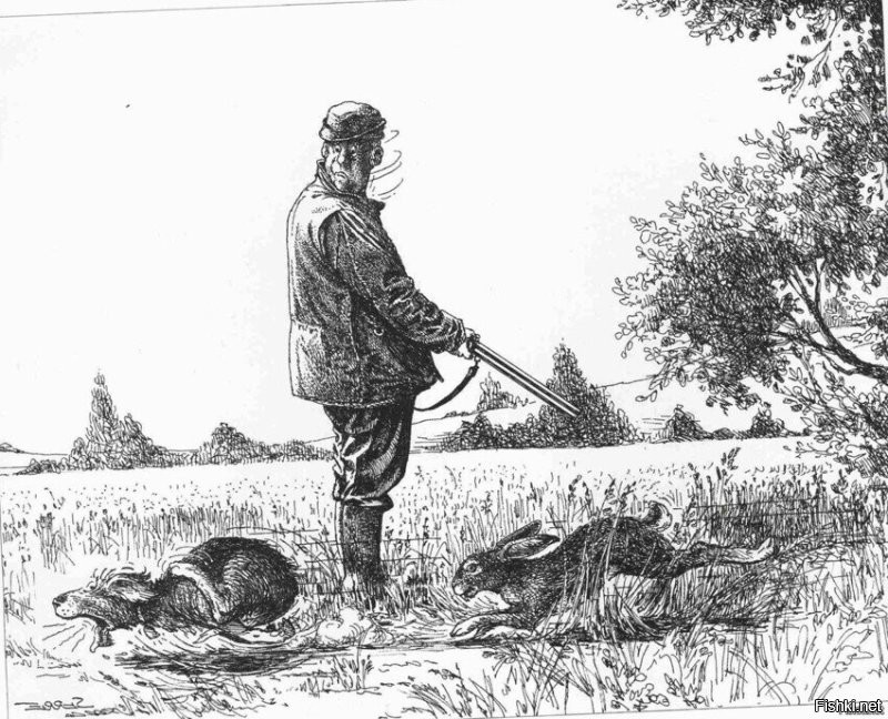 Продаётся охотничья собака