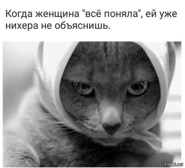 Солянка от 05.11.2022