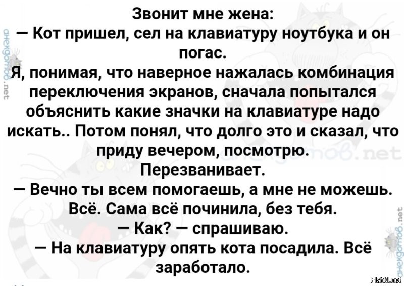 Солянка от 05.11.2022