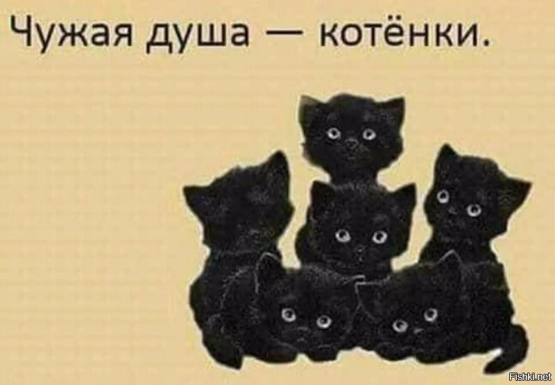 Солянка от 05.11.2022