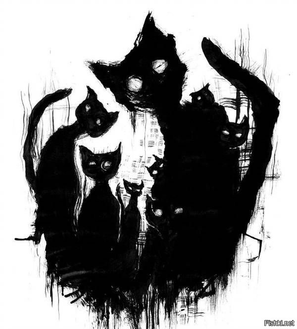 Солянка от 05.11.2022