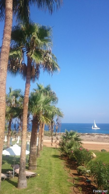 Солянка от 05.11.2022