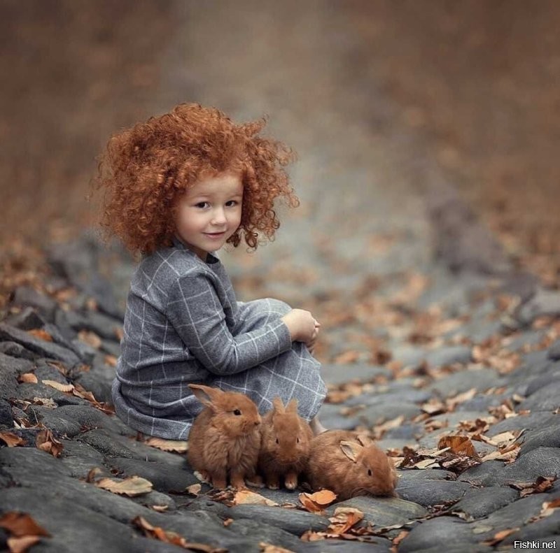 Солянка от 05.11.2022