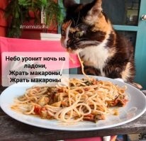 Смешные и познавательные картинки