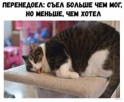 Смешные и познавательные картинки