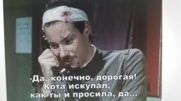 Йожика картинки. Выпуск 233