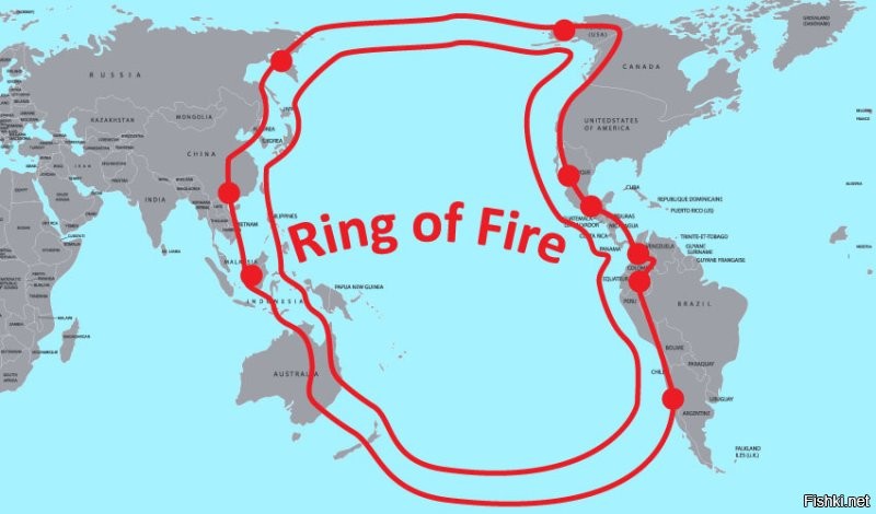 Большинство цунами происходит в тихоокеанском «Огненном кольце», геологически активной области, где тектонические сдвиги делают вулканическую деятельность и землетрясения обычным явлением. Около 90% землетрясений в мире и 80% цунами происходят вдоль Огненного кольца. Другие причины цунами включают в себя подводные или наземные извержения вулканов, оползни или крупные метеориты, падающие в океан.
Мегацунами в Литуйе был первым для науки случаем, когда гигантская волна была вызвана не только землетрясением, но и оползнем.