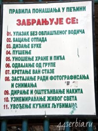 Русский и сербский - языки-братья! Попробуйте перевести без помощи гугла…