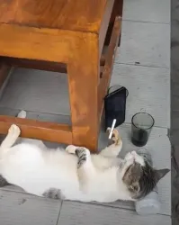 Алкопост на вечер этой пятницы