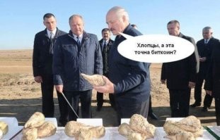 Это Битрут.