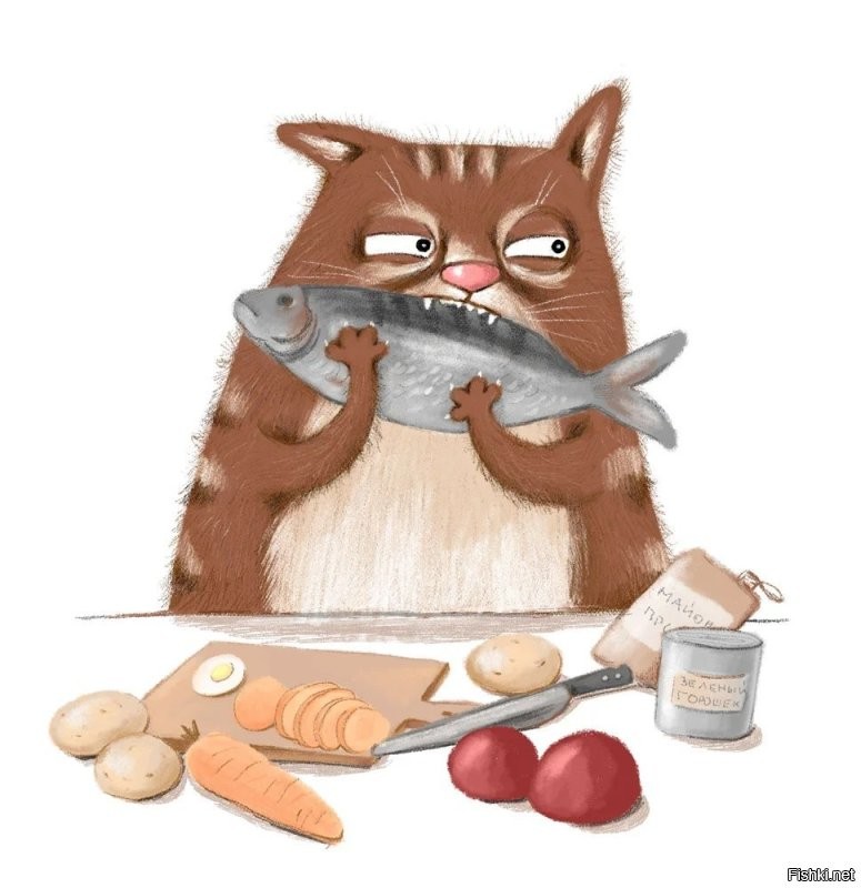 Солянка от 06.11.2022