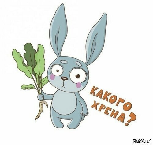 Солянка от 06.11.2022