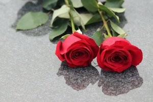 Кажется,у меня есть шанс.