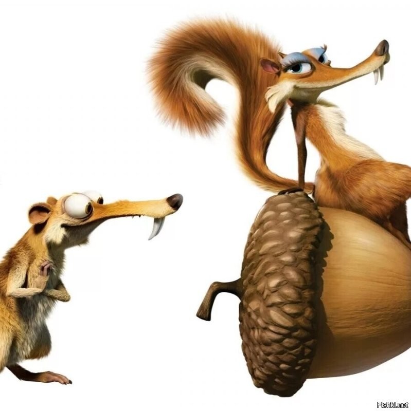 Солянка от 06.11.2022