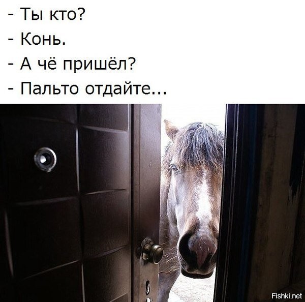 Солянка от 06.11.2022