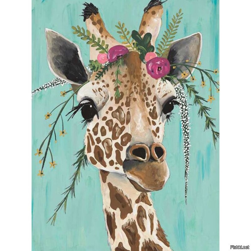 Солянка от 06.11.2022