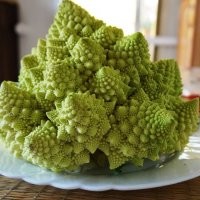 Фрактал. Как и эта. Капусту Романеску я больше люблю.