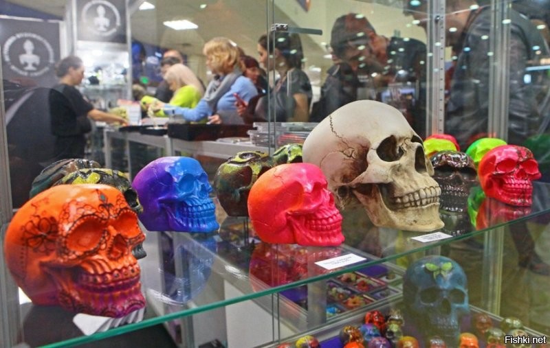 Солянка от 06.11.2022