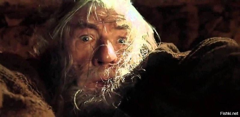 Уплывайте, глупцы!!!