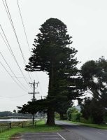 вот это, кстати, так себе решение.
в один прекрасный, снежный день, она просто рухнет направо. проходили уже...